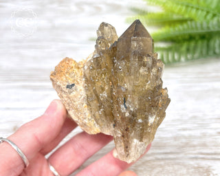 Congo Citrine #7