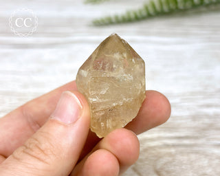 Congo Citrine #12