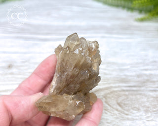 Congo Citrine #5