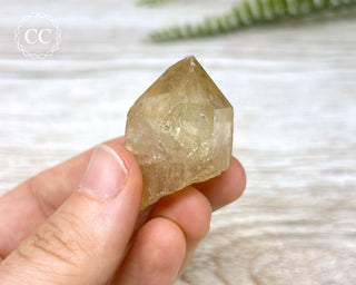 Congo Citrine #12