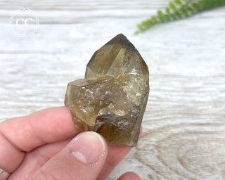 Congo Citrine #6