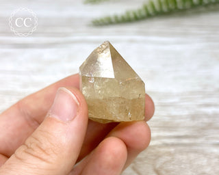 Congo Citrine #12