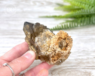 Congo Citrine #7
