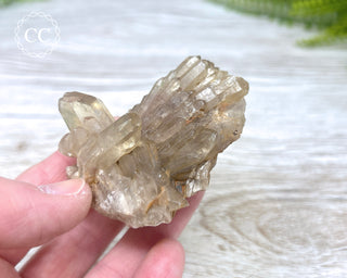 Congo Citrine #5
