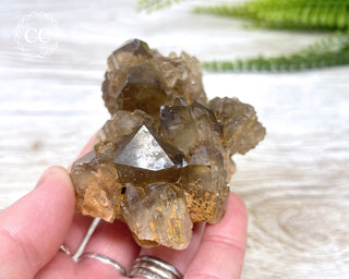 Congo Citrine #2