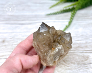 Congo Citrine #4