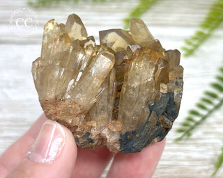 Congo Citrine #4