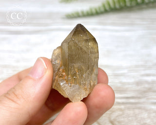 Congo Citrine #13