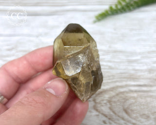 Congo Citrine #6