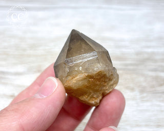 Congo Citrine #6