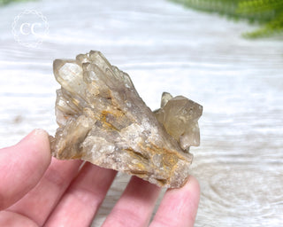 Congo Citrine #5