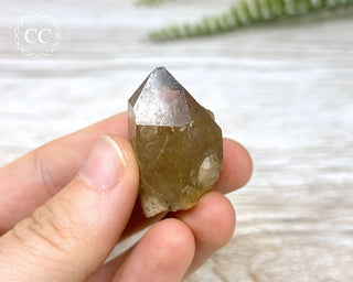 Congo Citrine #13