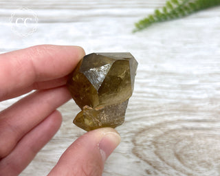 Congo Citrine #6