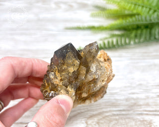 Congo Citrine #7