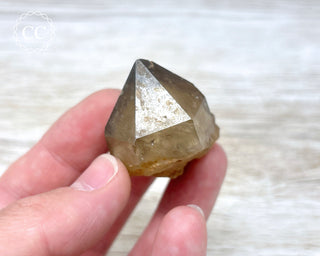 Congo Citrine #6