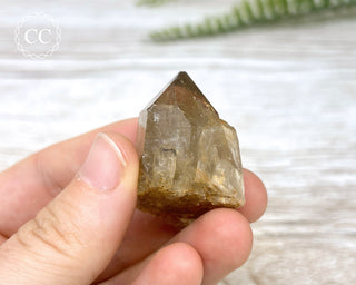 Congo Citrine #13