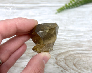 Congo Citrine #6