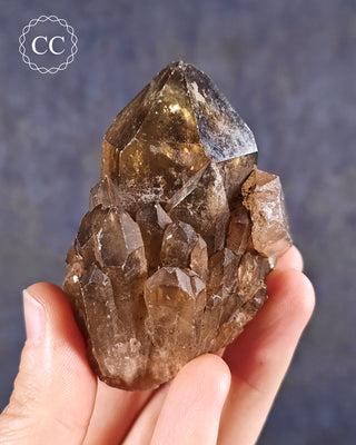 Natural Congo Citrine Crystal in hand