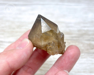 Congo Citrine #6
