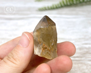 Congo Citrine #13