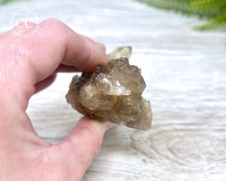 Congo Citrine #5