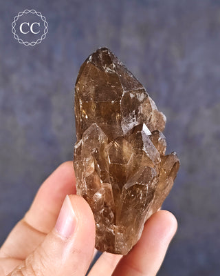 Congo Citrine #9