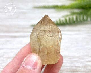 Congo Citrine #8