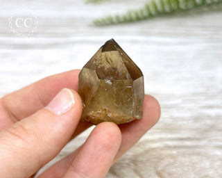 Congo Citrine #14