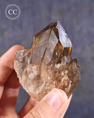 Congo Citrine #9