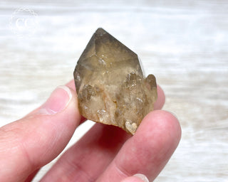 Congo Citrine #6