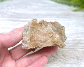 Congo Citrine #5
