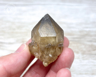 Congo Citrine #6