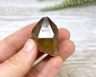 Congo Citrine #14