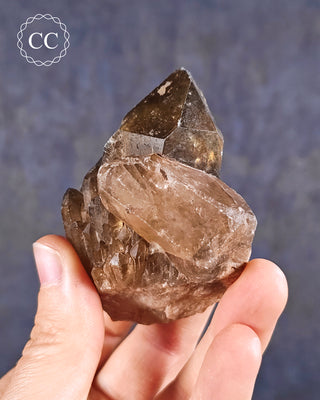 Congo Citrine #9