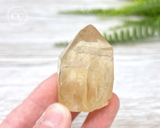Congo Citrine #8