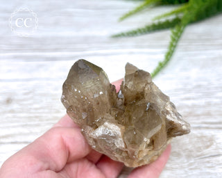 Congo Citrine #4
