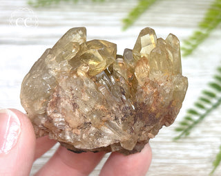 Congo Citrine #4