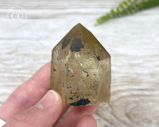 Congo Citrine #1