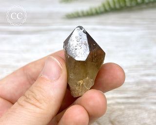Congo Citrine #14