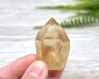 Congo Citrine #8