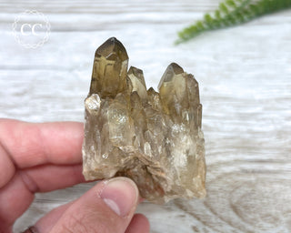 Congo Citrine #9