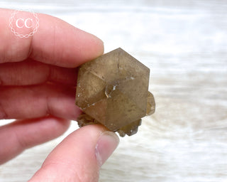 Congo Citrine #6