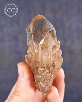 Natural Congo Citrine Crystal in hand