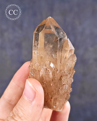 Congo Citrine #10