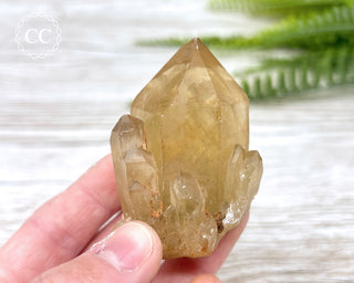 Congo Citrine #9