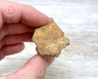 Congo Citrine #6