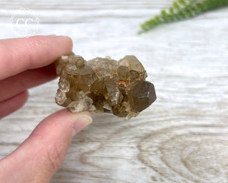 Congo Citrine #9