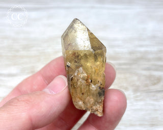 Congo Citrine #7