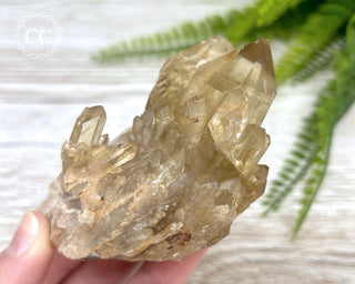 Congo Citrine #7