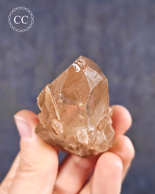 Congo Citrine #10